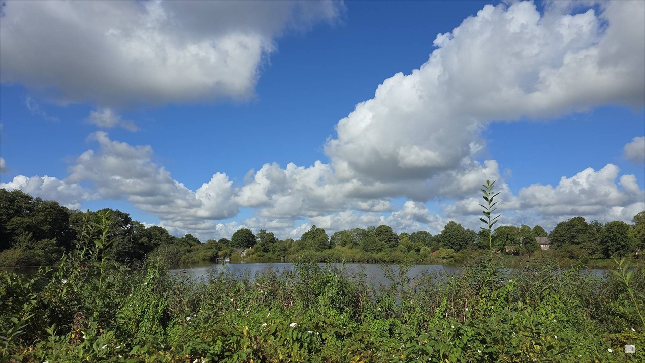 Blick-auf-Einfelder See