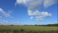 Noch vor der Ernte