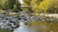 Stromschnellen mit wenig Wasser